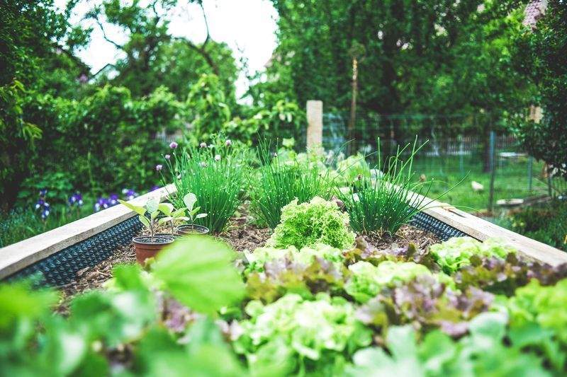 季節の花壇植栽